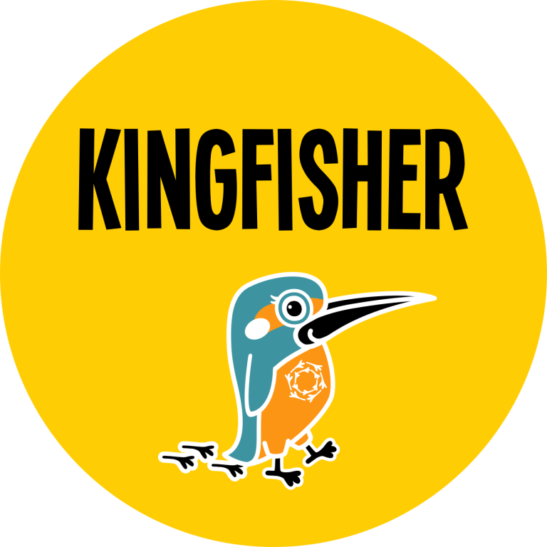 Declutterbird Kingfisher Image